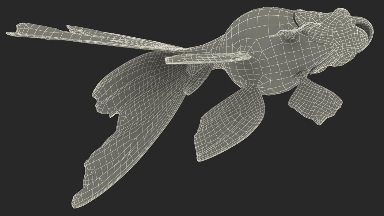 3D model Goldfish Rigged