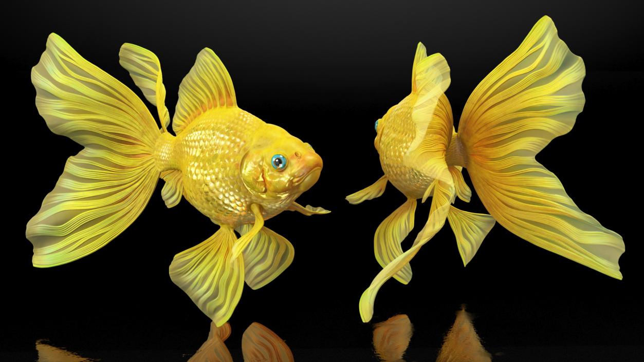 3D model Goldfish Rigged