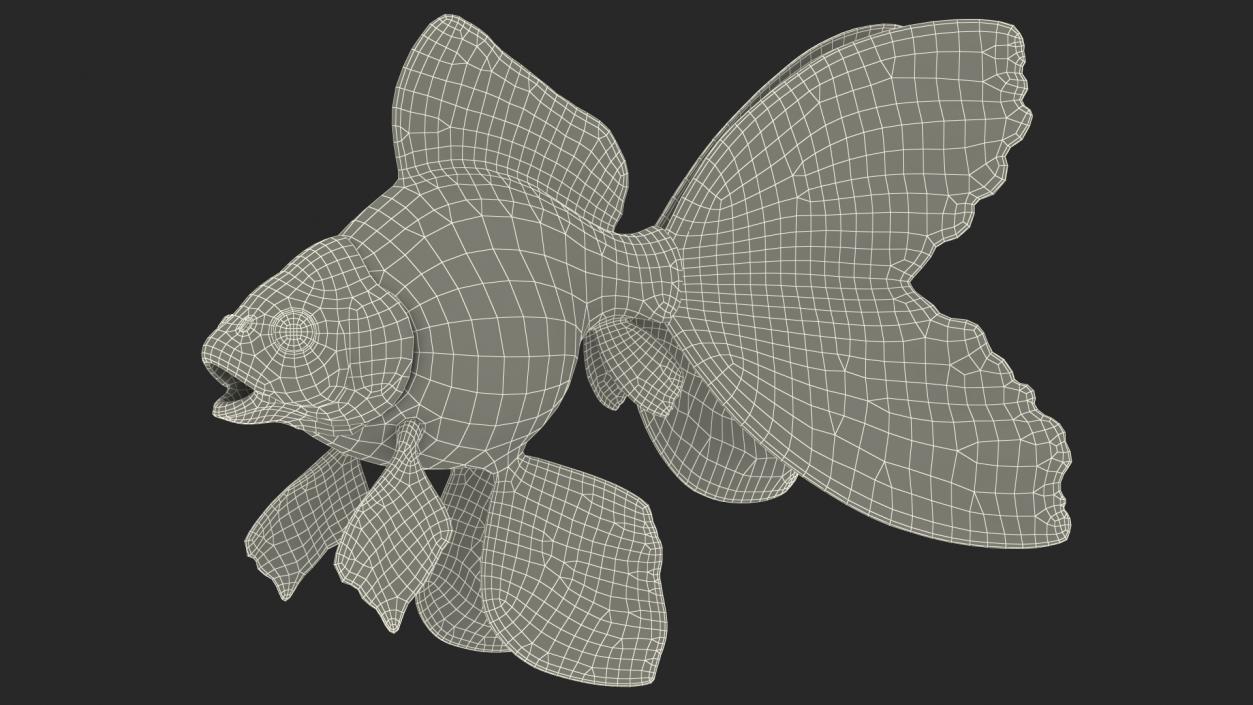 3D model Goldfish Rigged