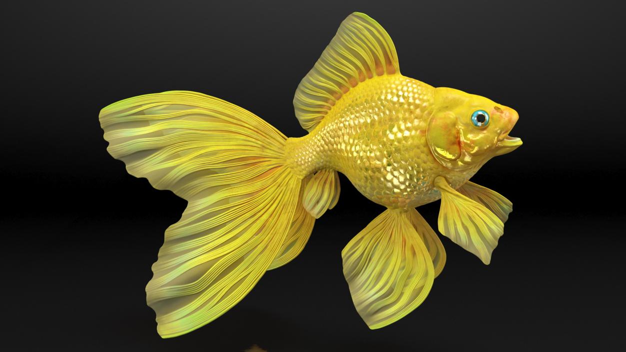 3D model Goldfish Rigged