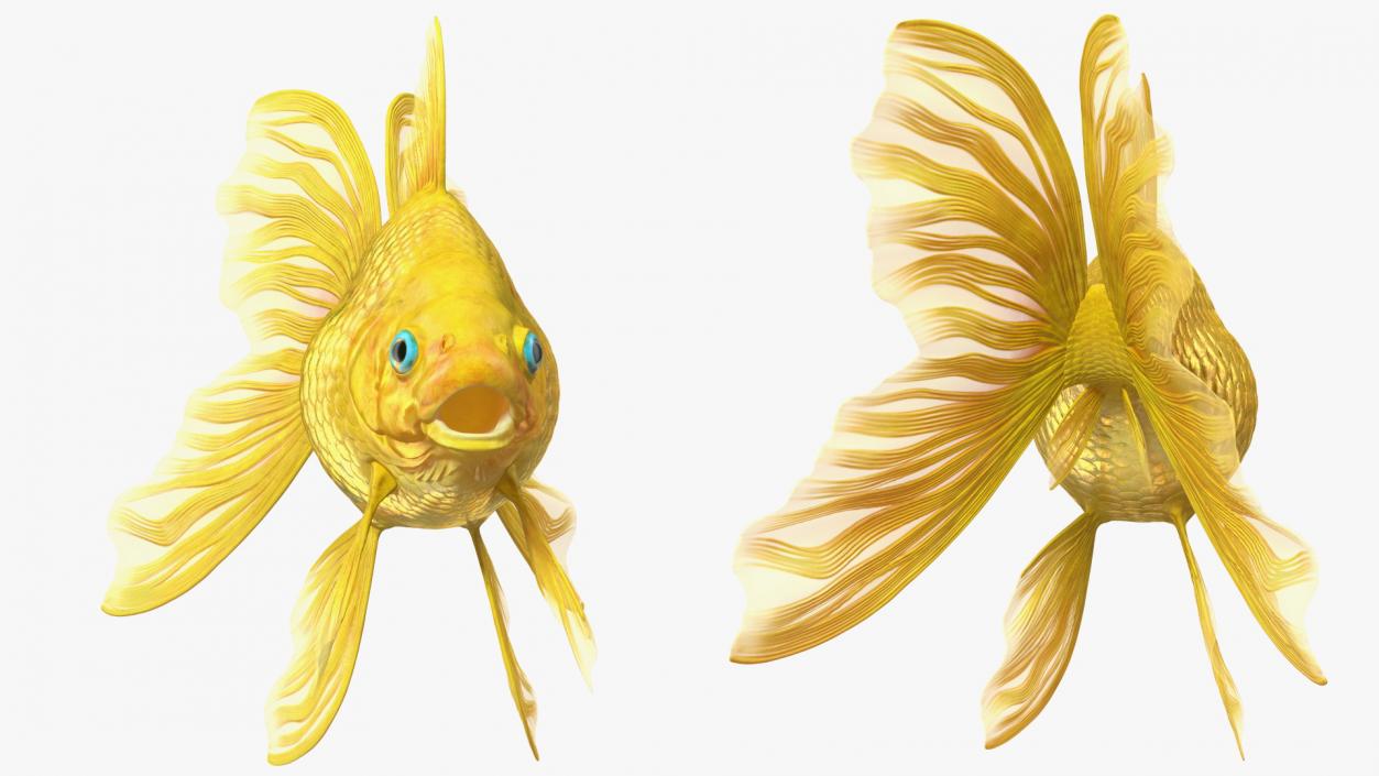 3D model Goldfish Rigged