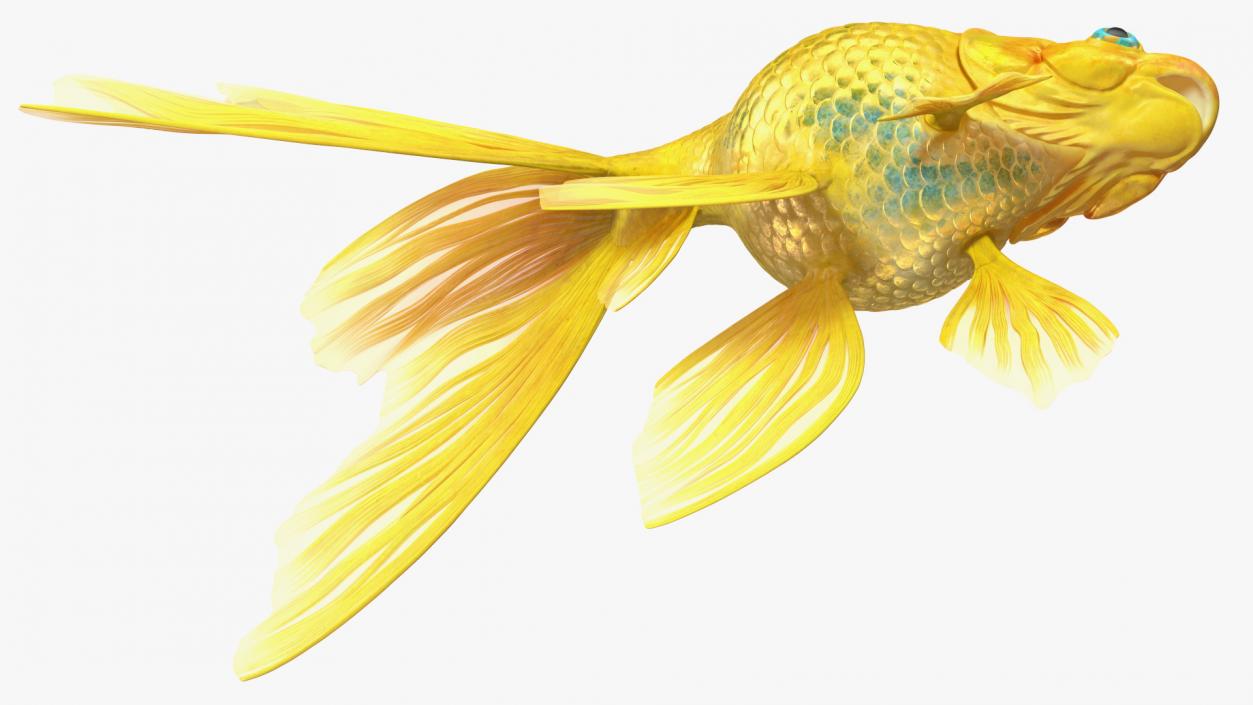 3D model Goldfish Rigged