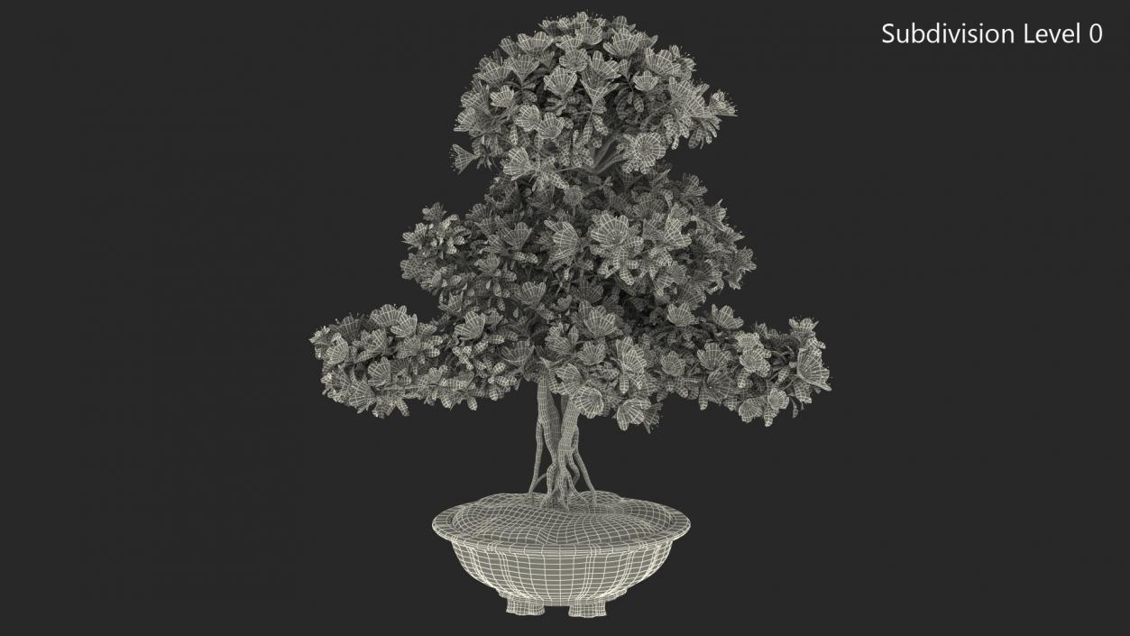 Small Bonsai Tree with Flowers in Pot 3D