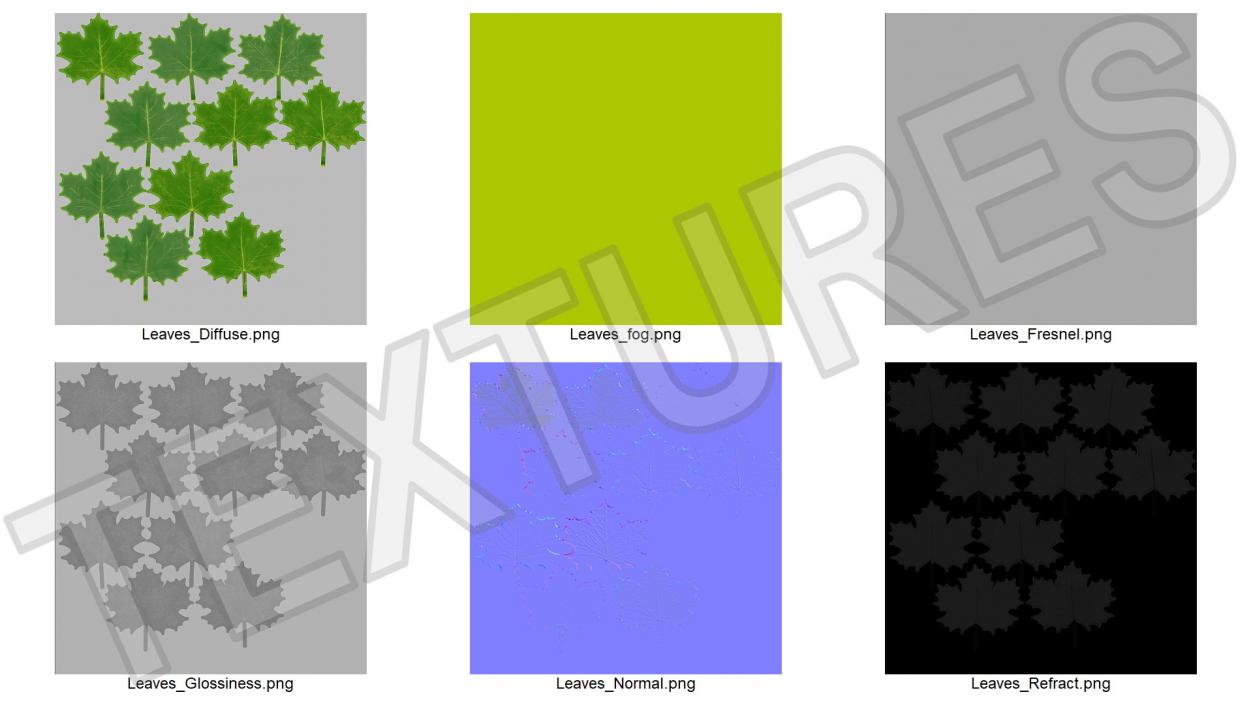 3D model Green Maple Leaves 2