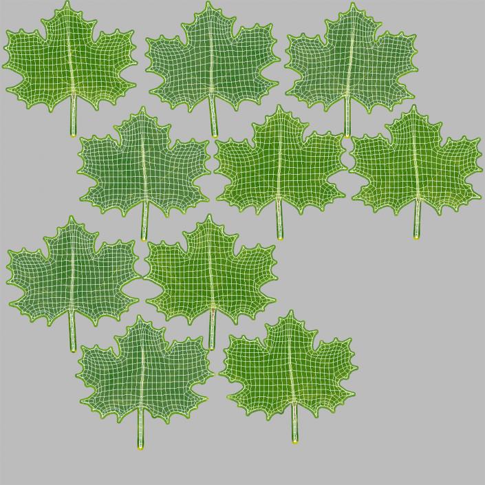 3D model Green Maple Leaves 2