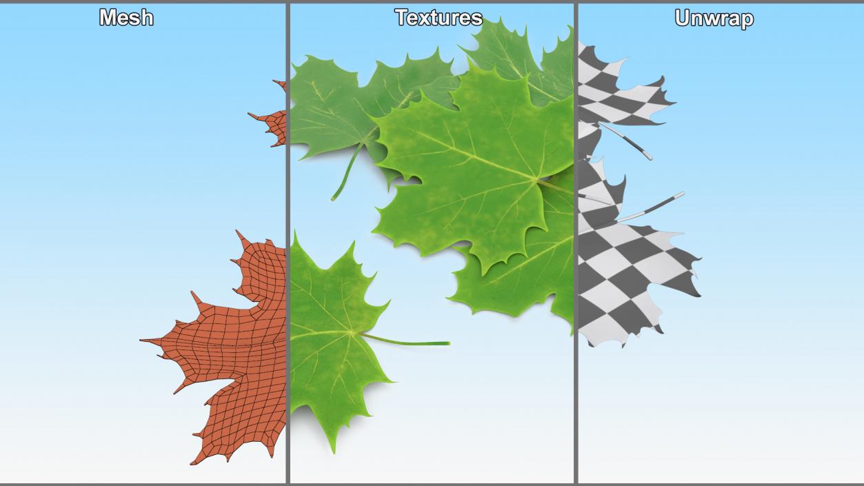 3D model Green Maple Leaves 2