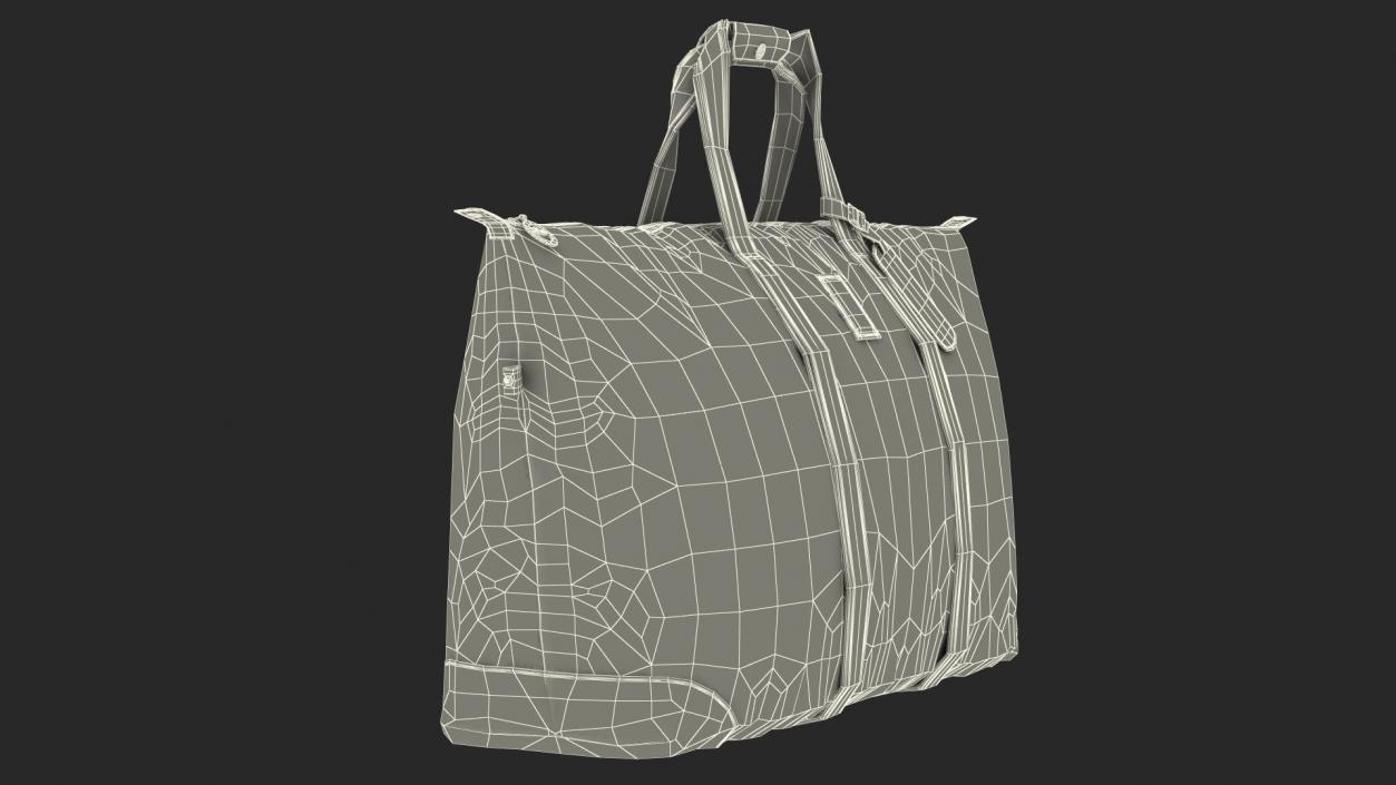 3D model Man Travel Bag LONGCHAMP Brown