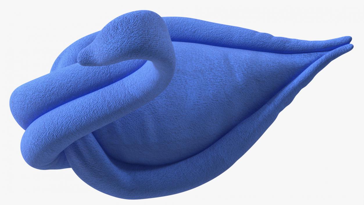 3D Elegant Blue Towel Swan with Folded Wings