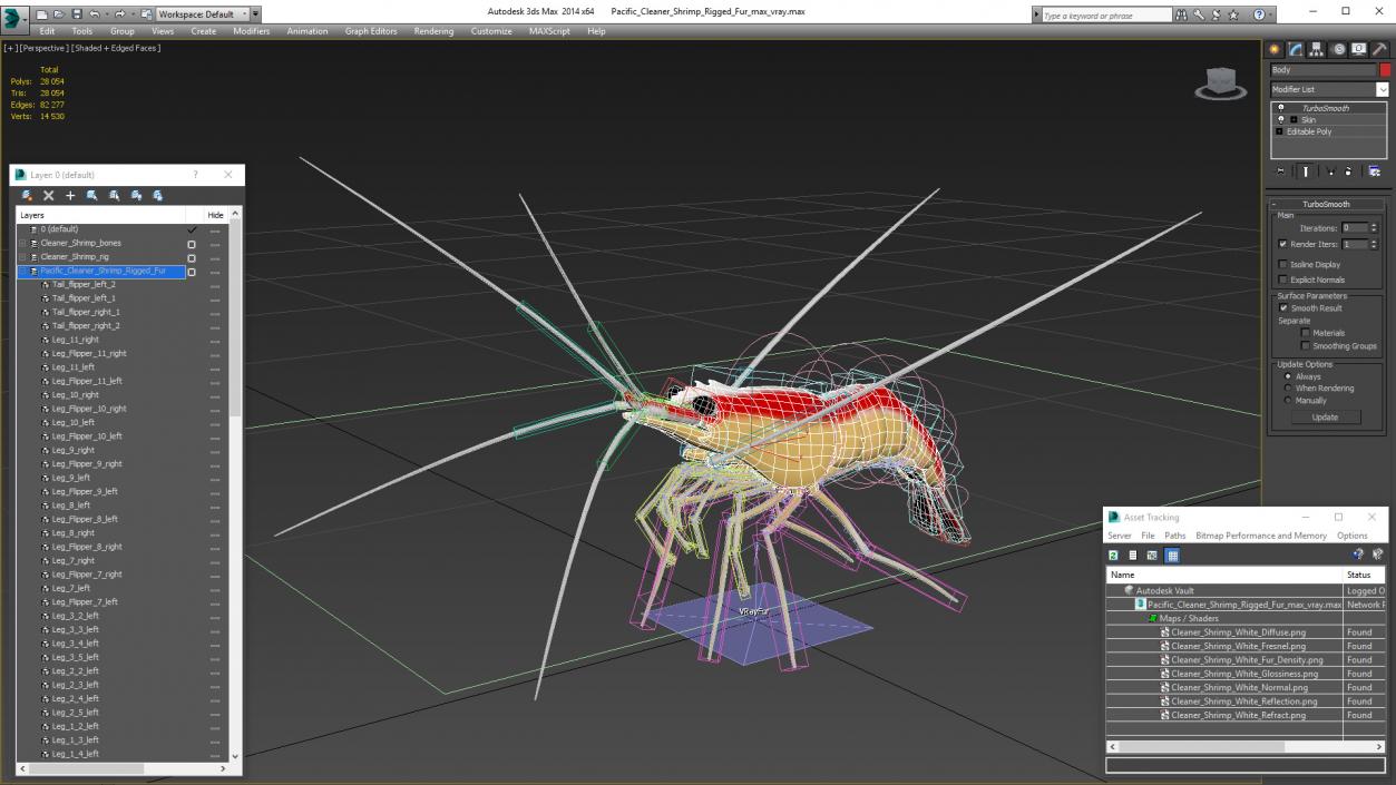 3D Pacific Cleaner Shrimp Rigged Fur model