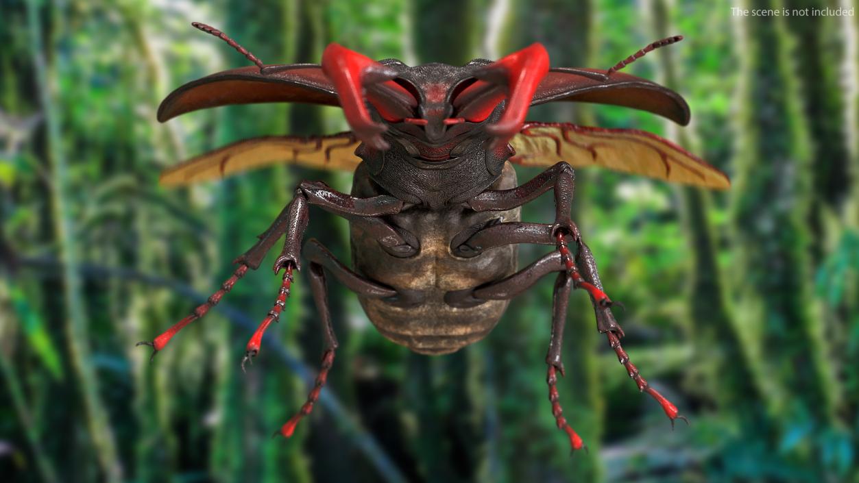 3D Lucanus Cervus Stag Beetle Flying model