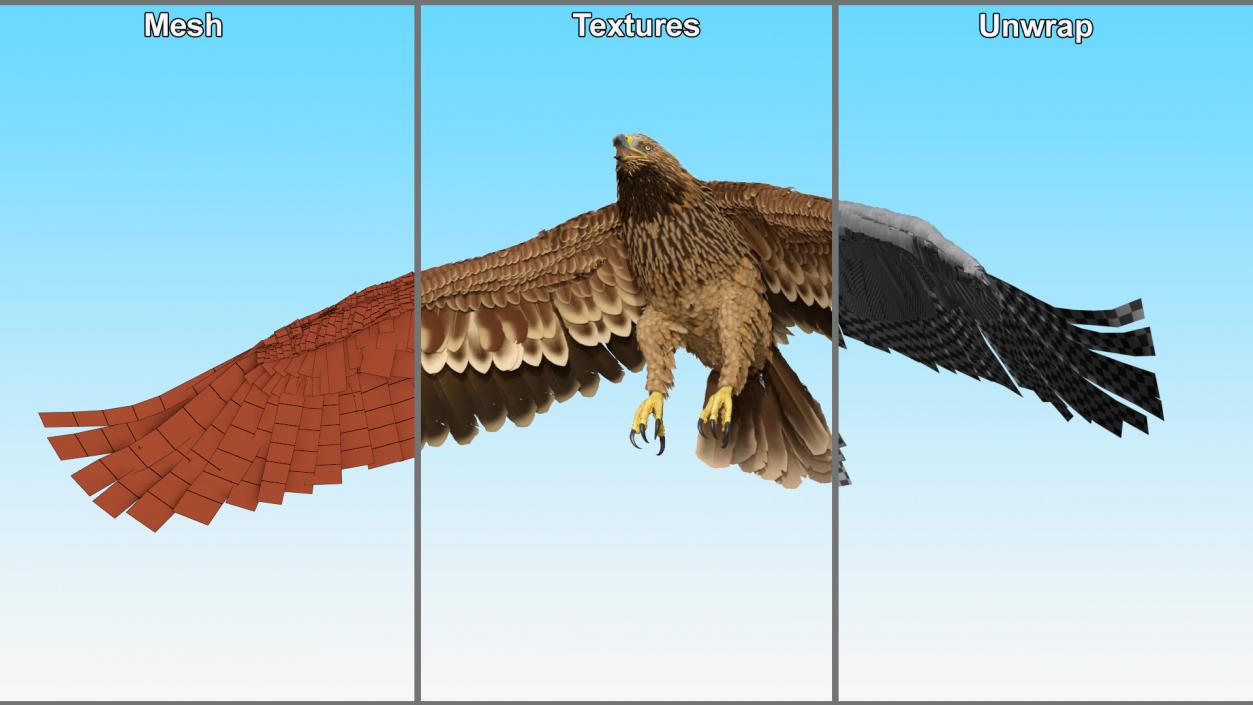 3D Realistic Imperial Eagle Flying