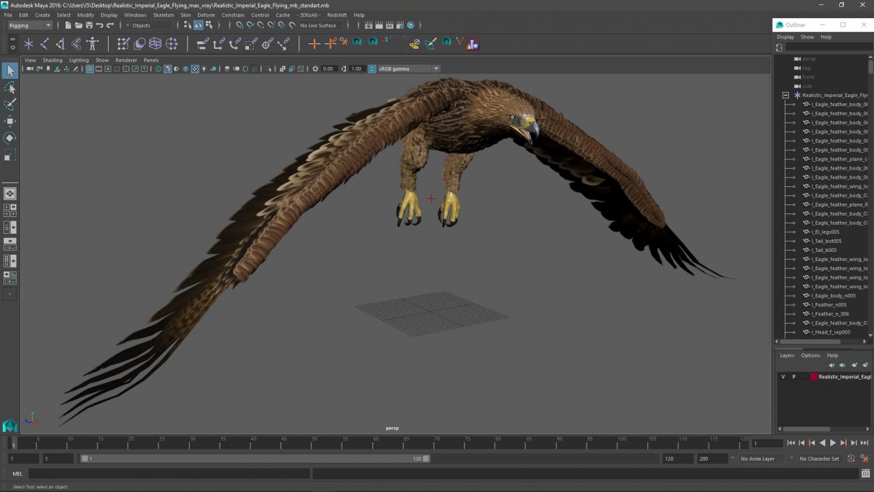 3D Realistic Imperial Eagle Flying