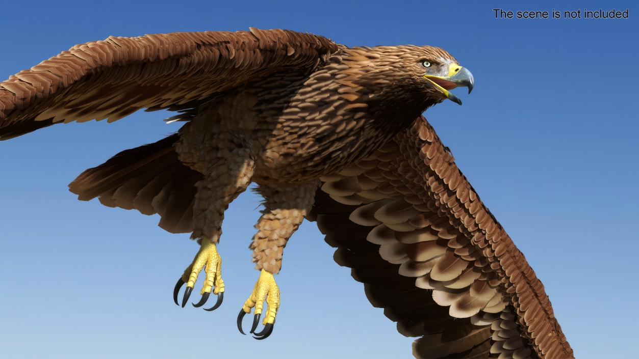 3D Realistic Imperial Eagle Flying