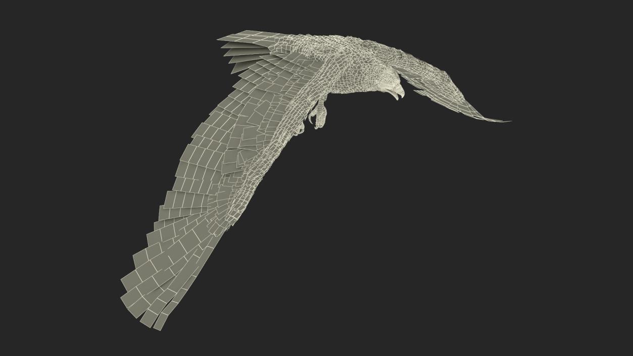 3D Realistic Imperial Eagle Flying