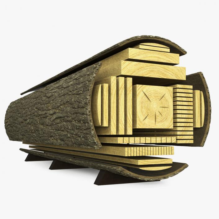 Log Cross Section 2 3D model