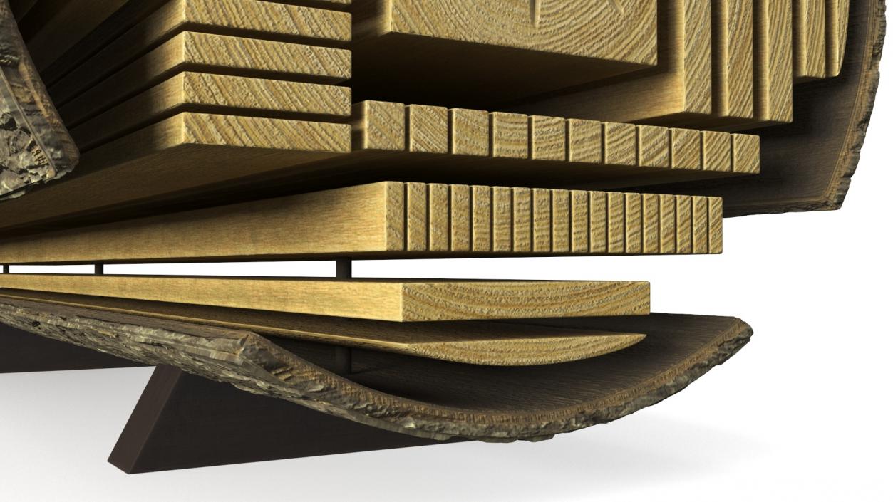 Log Cross Section 2 3D model