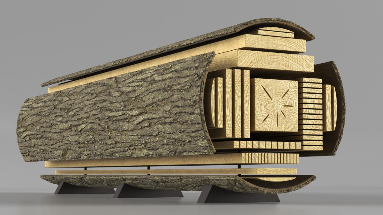 Log Cross Section 2 3D model