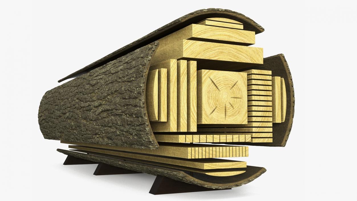 Log Cross Section 2 3D model