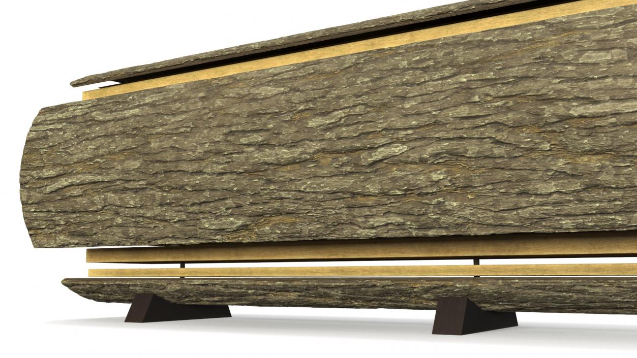 Log Cross Section 2 3D model