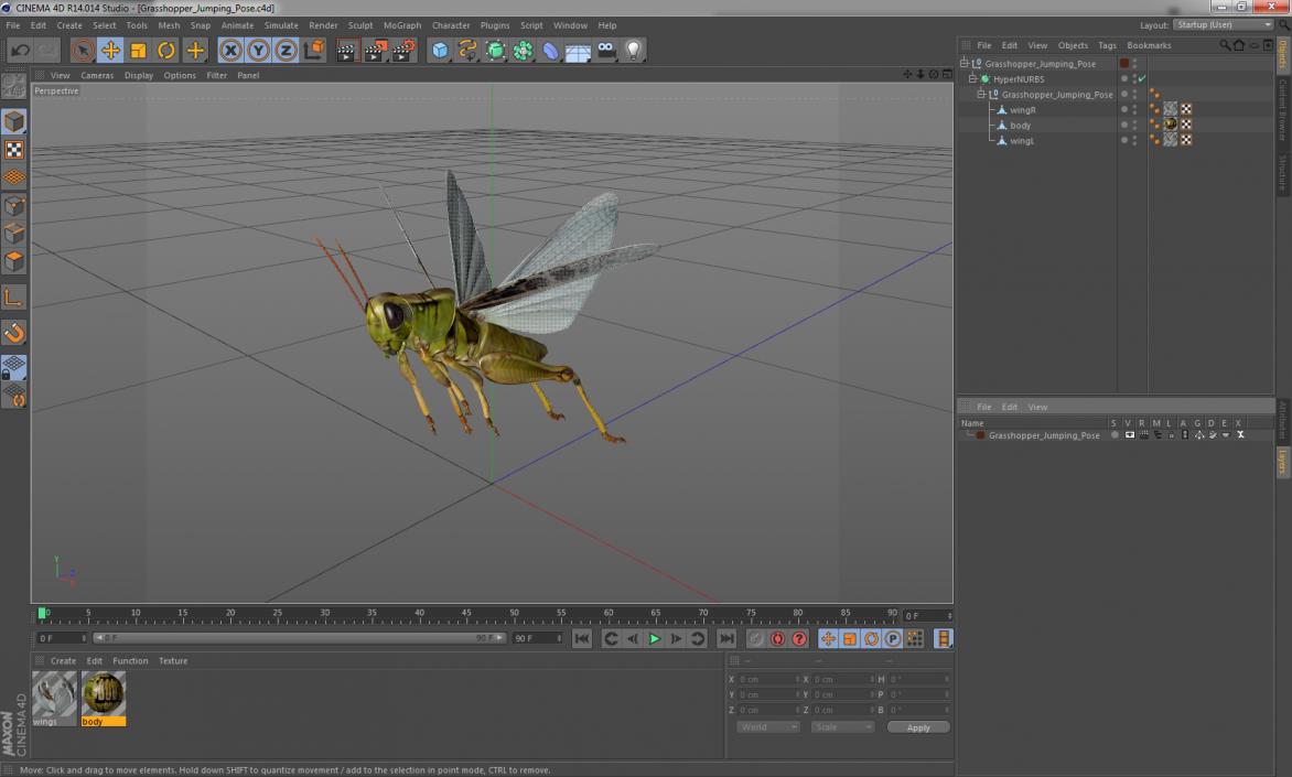 Grasshopper Jumping Pose 3D model