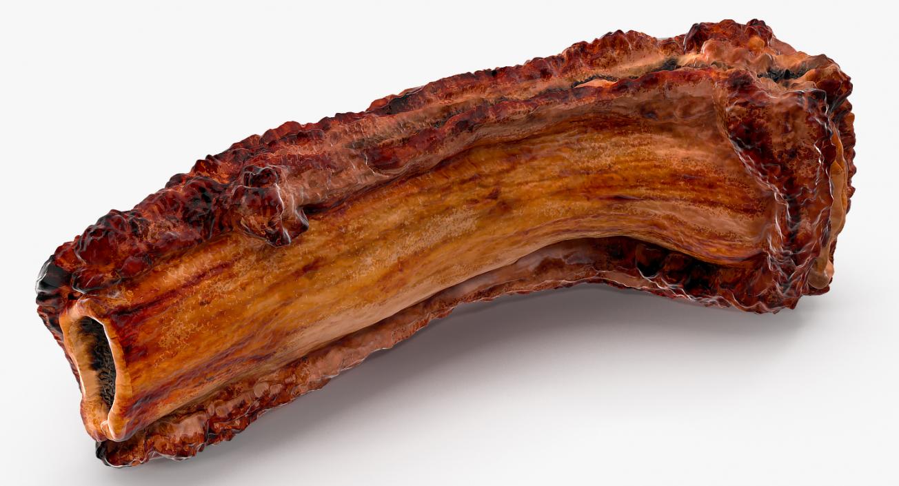 Roasted Pork Spare Rib 3D