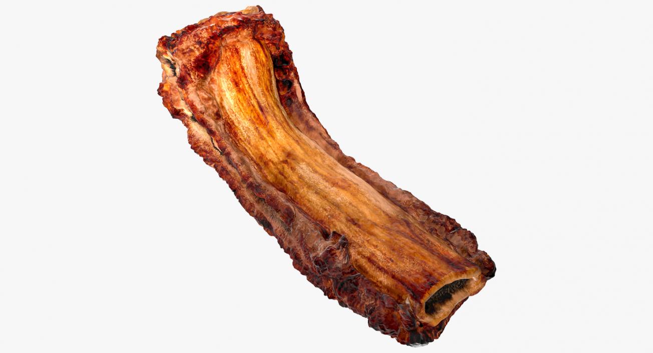 Roasted Pork Spare Rib 3D