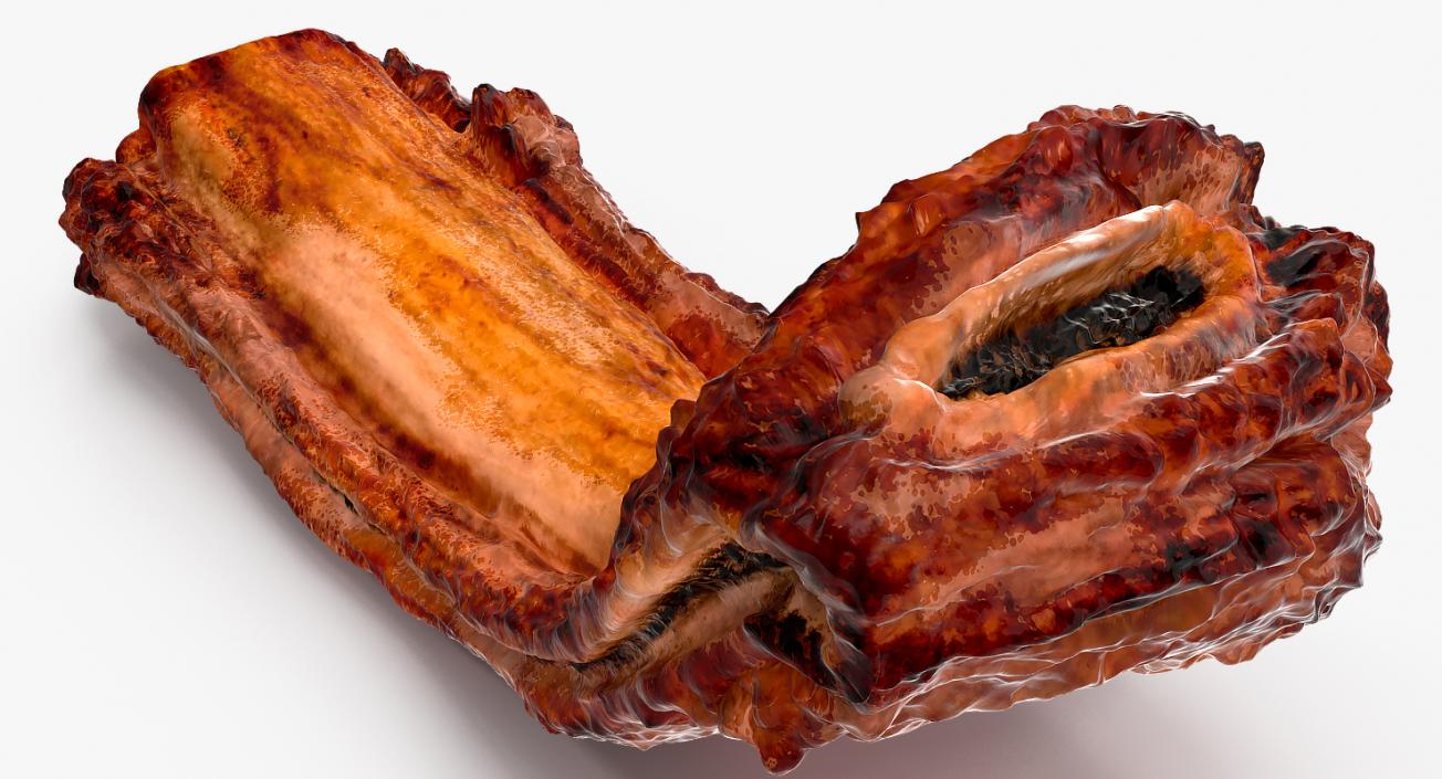 Roasted Pork Spare Rib 3D