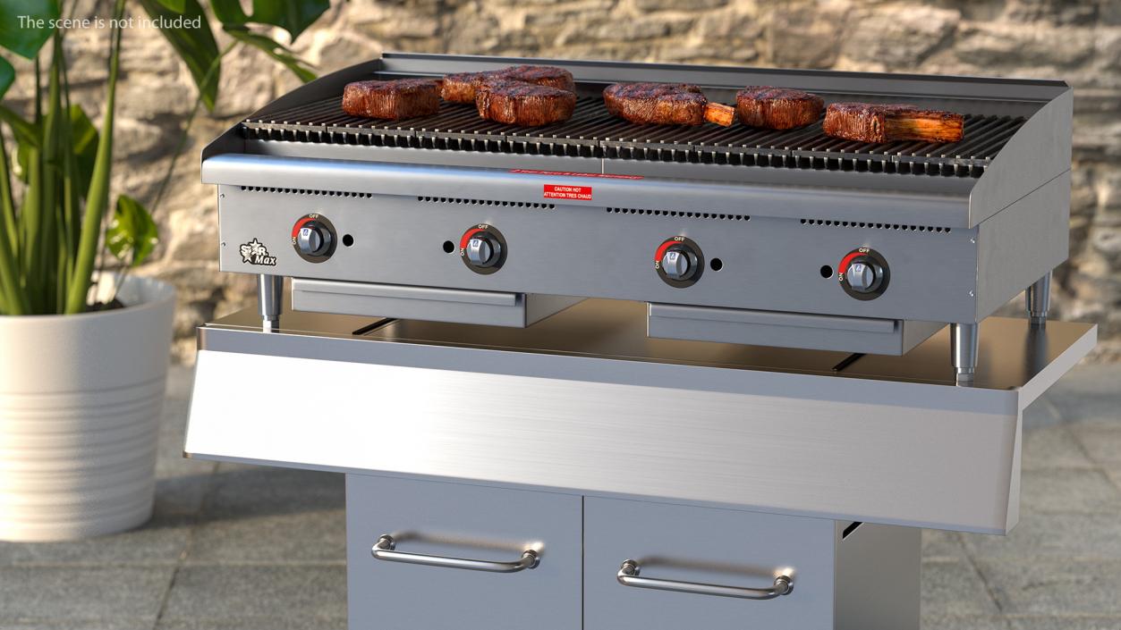 Grills with Meat Collection 3D