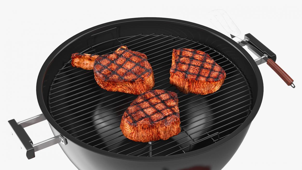 Grills with Meat Collection 3D