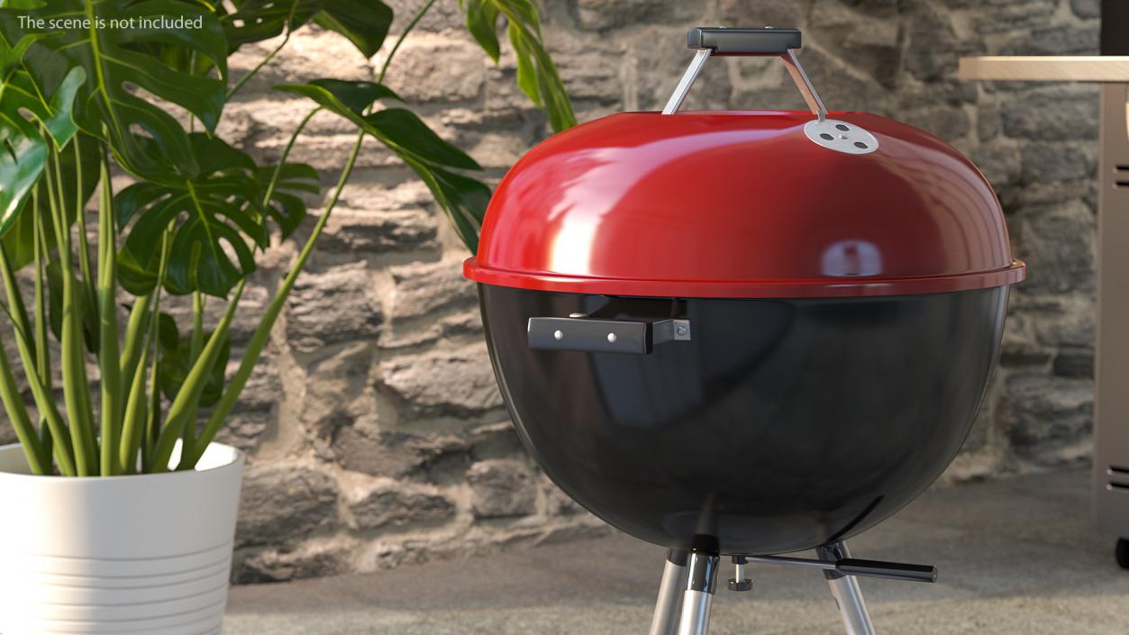 Grills with Meat Collection 3D