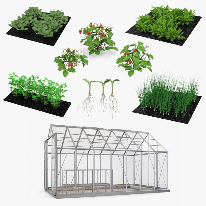 3D Garden Greenhouse with Grows Collection 4