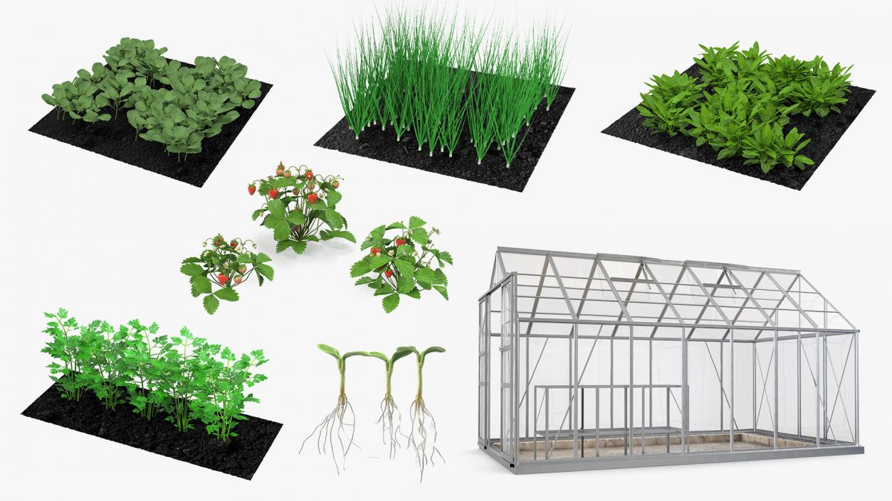 3D Garden Greenhouse with Grows Collection 4