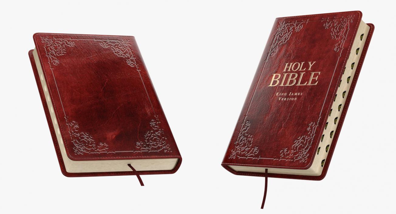 Holy Bible Closed Book 3D