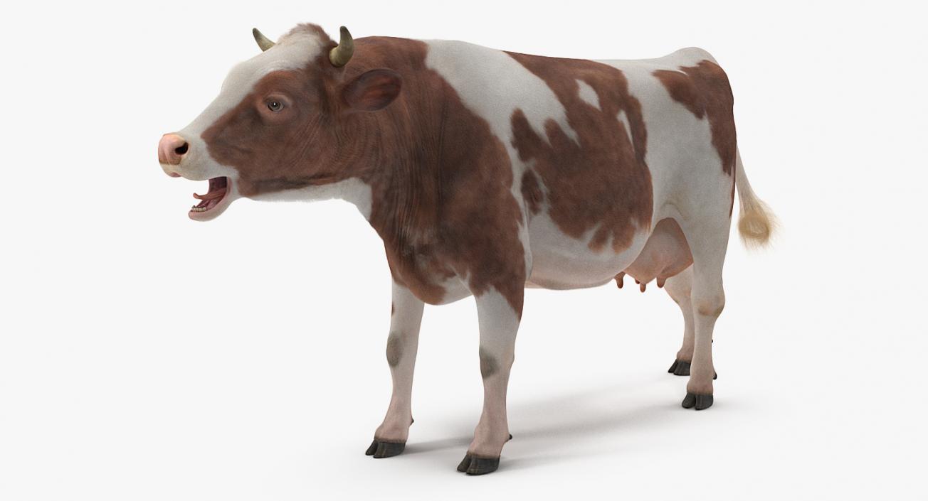 Cow with Fur Rigged 3D model