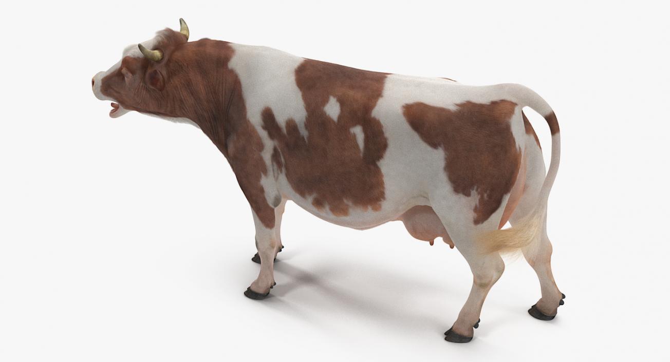 Cow with Fur Rigged 3D model