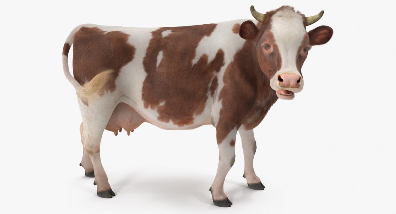 Cow with Fur Rigged 3D model