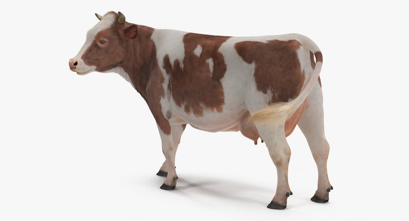 Cow with Fur Rigged 3D model