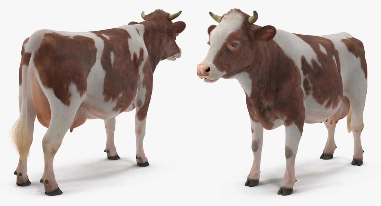 Cow with Fur Rigged 3D model