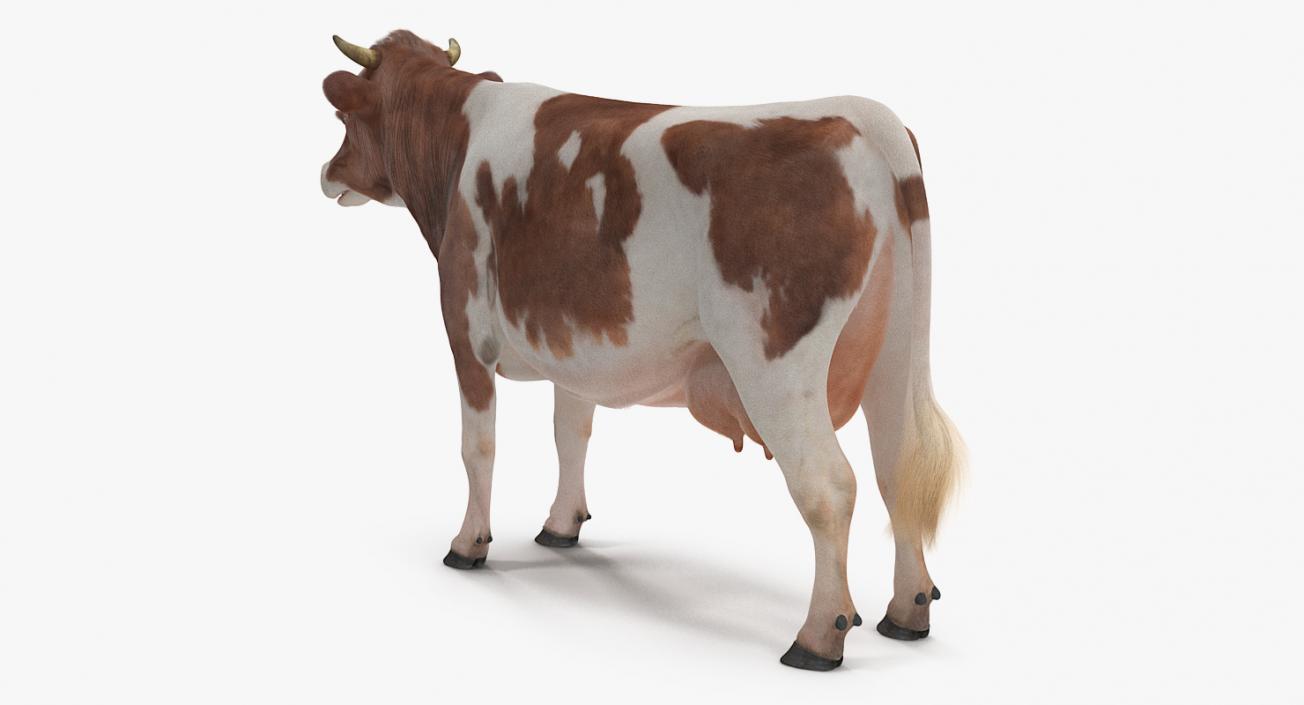 Cow with Fur Rigged 3D model