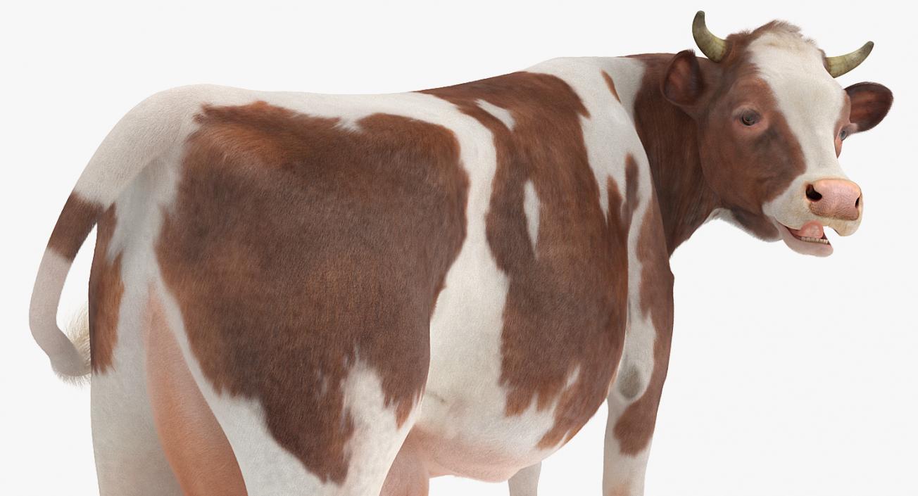 Cow with Fur Rigged 3D model