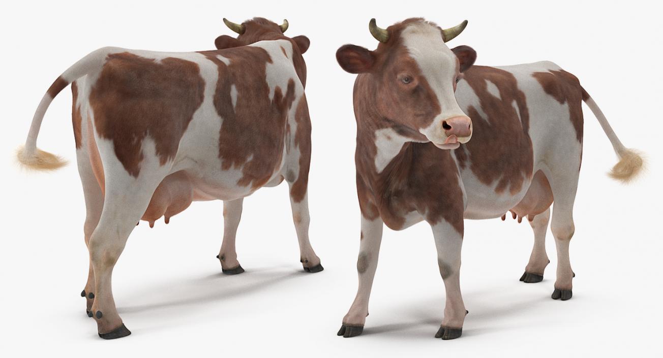 Cow with Fur Rigged 3D model