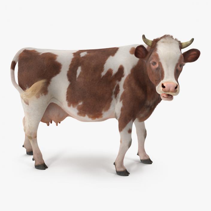 Cow with Fur Rigged 3D model