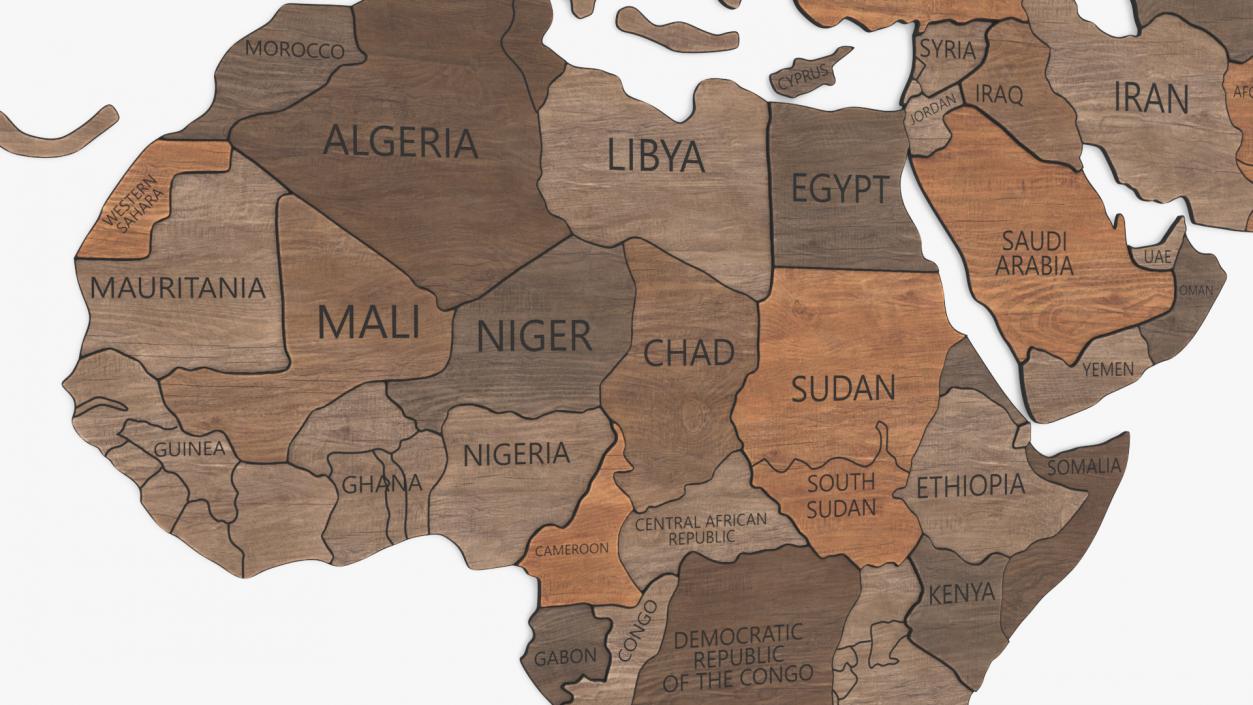 3D model Wooden World Map Wall Art