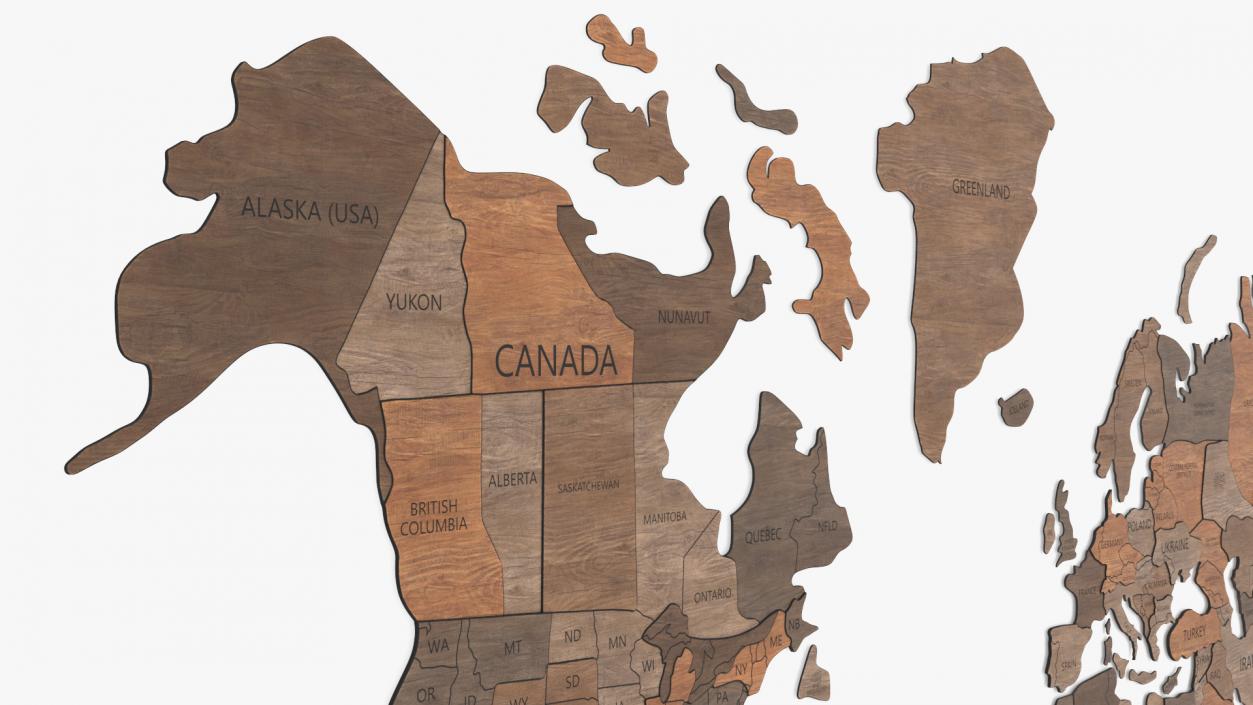 3D model Wooden World Map Wall Art