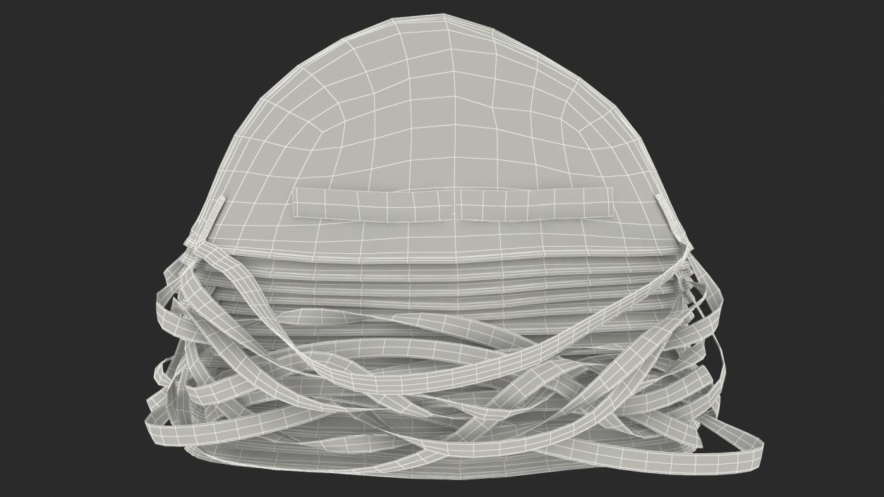 3D Particulate Respirator N95 Class Stack model