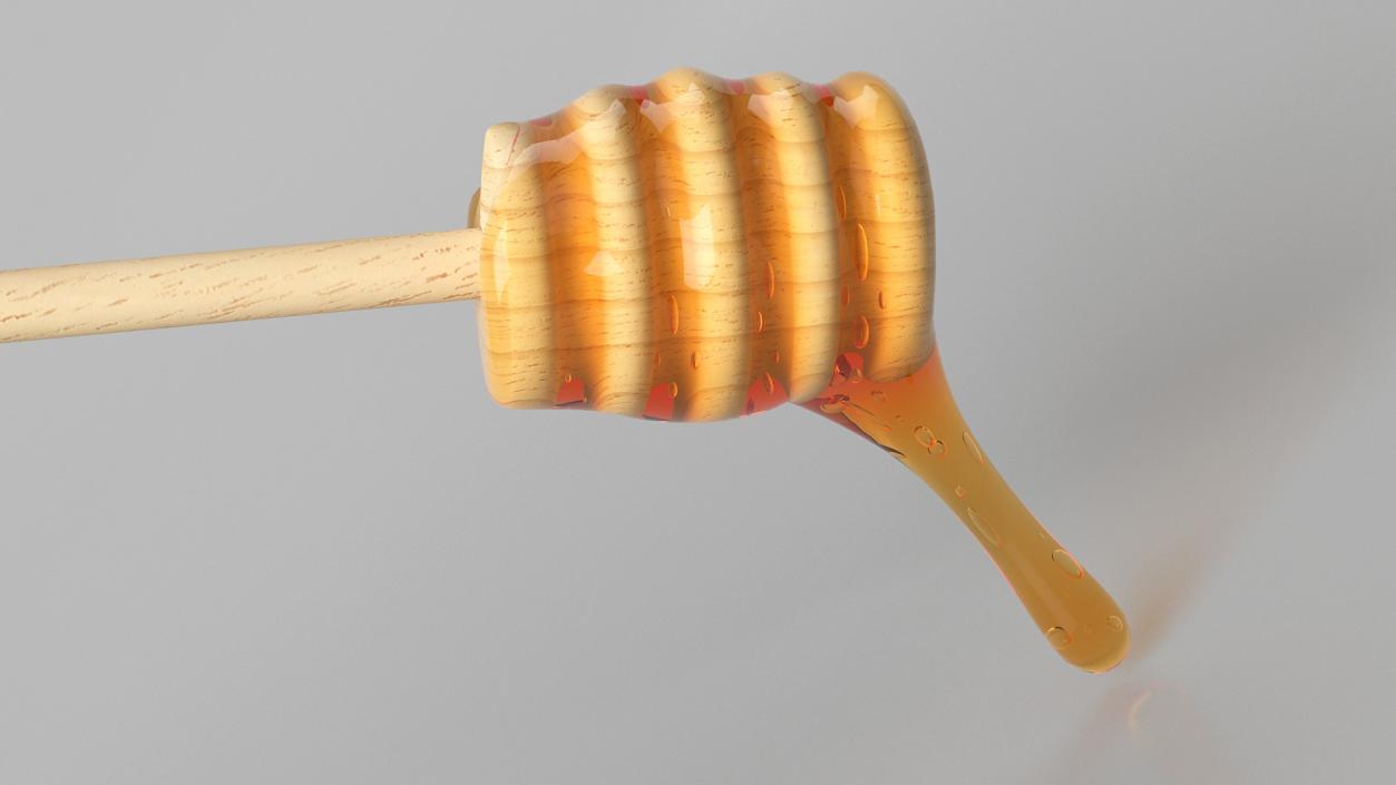 Wooden Dipper Covered with Honey 3D