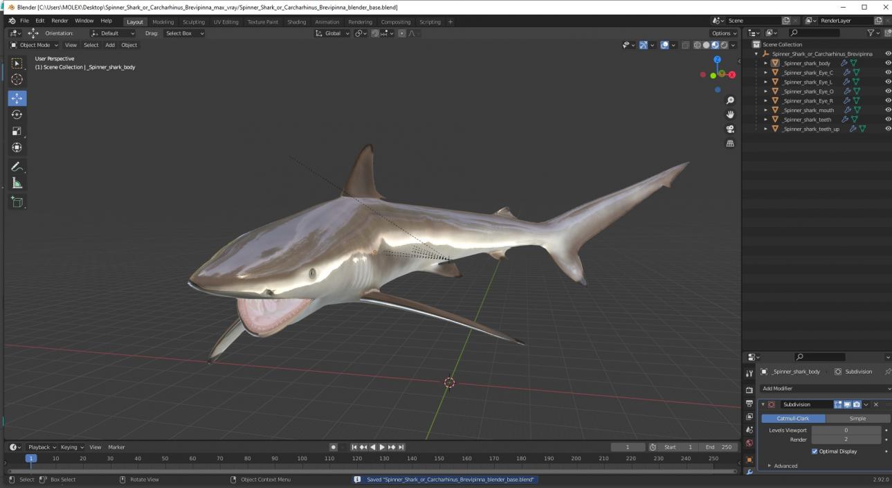 3D model Spinner Shark or Carcharhinus Brevipinna