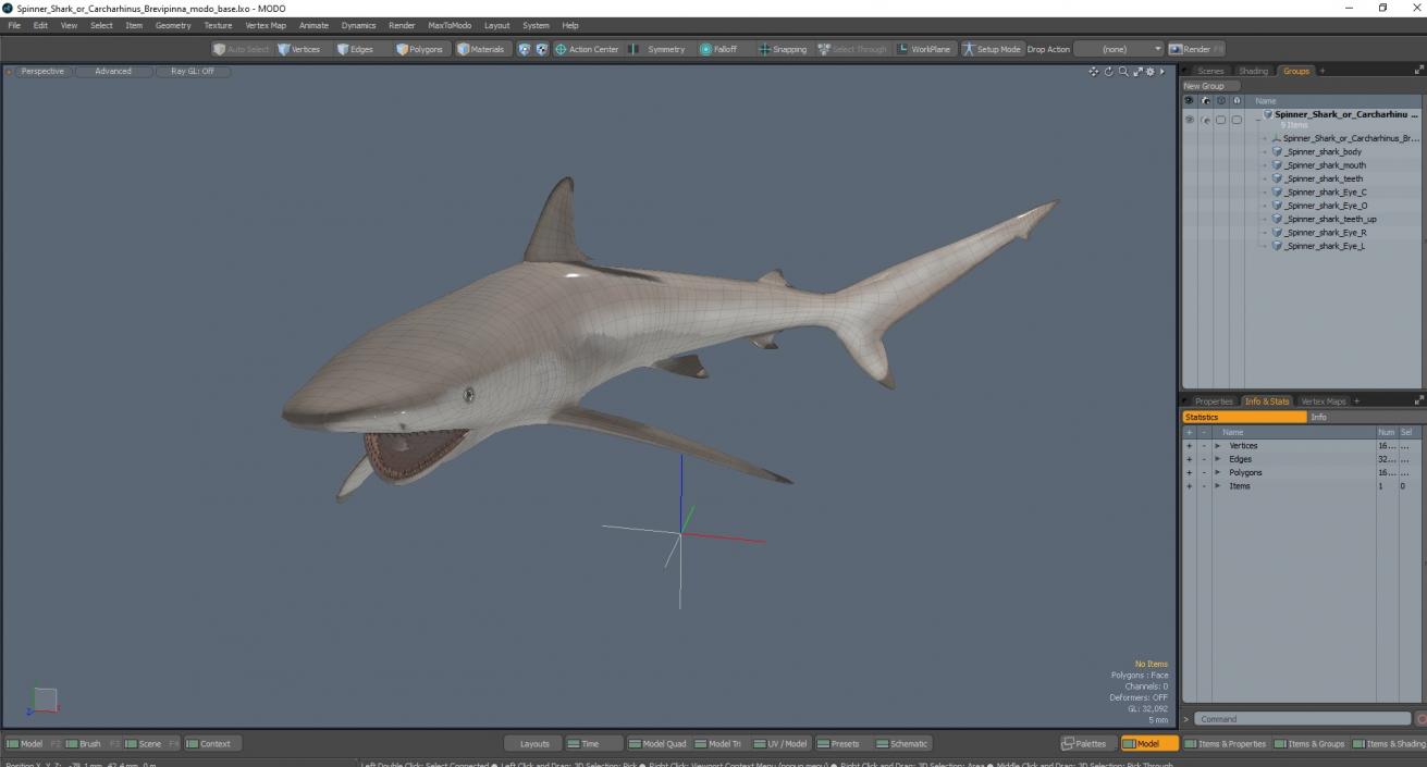 3D model Spinner Shark or Carcharhinus Brevipinna