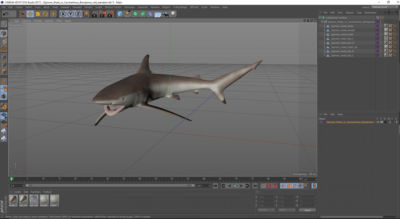 3D model Spinner Shark or Carcharhinus Brevipinna