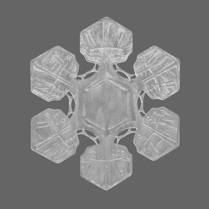 Realistic Snowflake 3D model